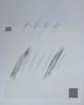 Edouard Nono Bleistift Collagenfoto auf Papier signiert Botaniker Pflanzen Gewächse