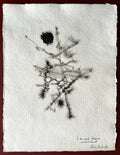Léon Zack, Encre et lavis, 1974